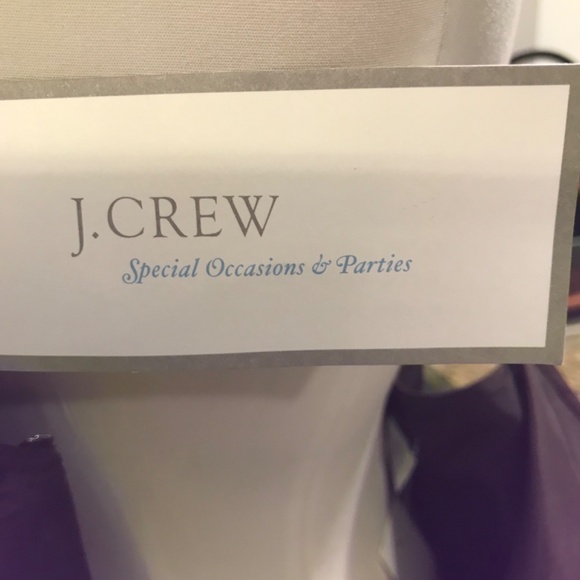 NWT stunning J Crew 100% Silk special Occasion dress - Picture 8 of 16
